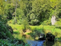 Im Frühling 2020 (7)